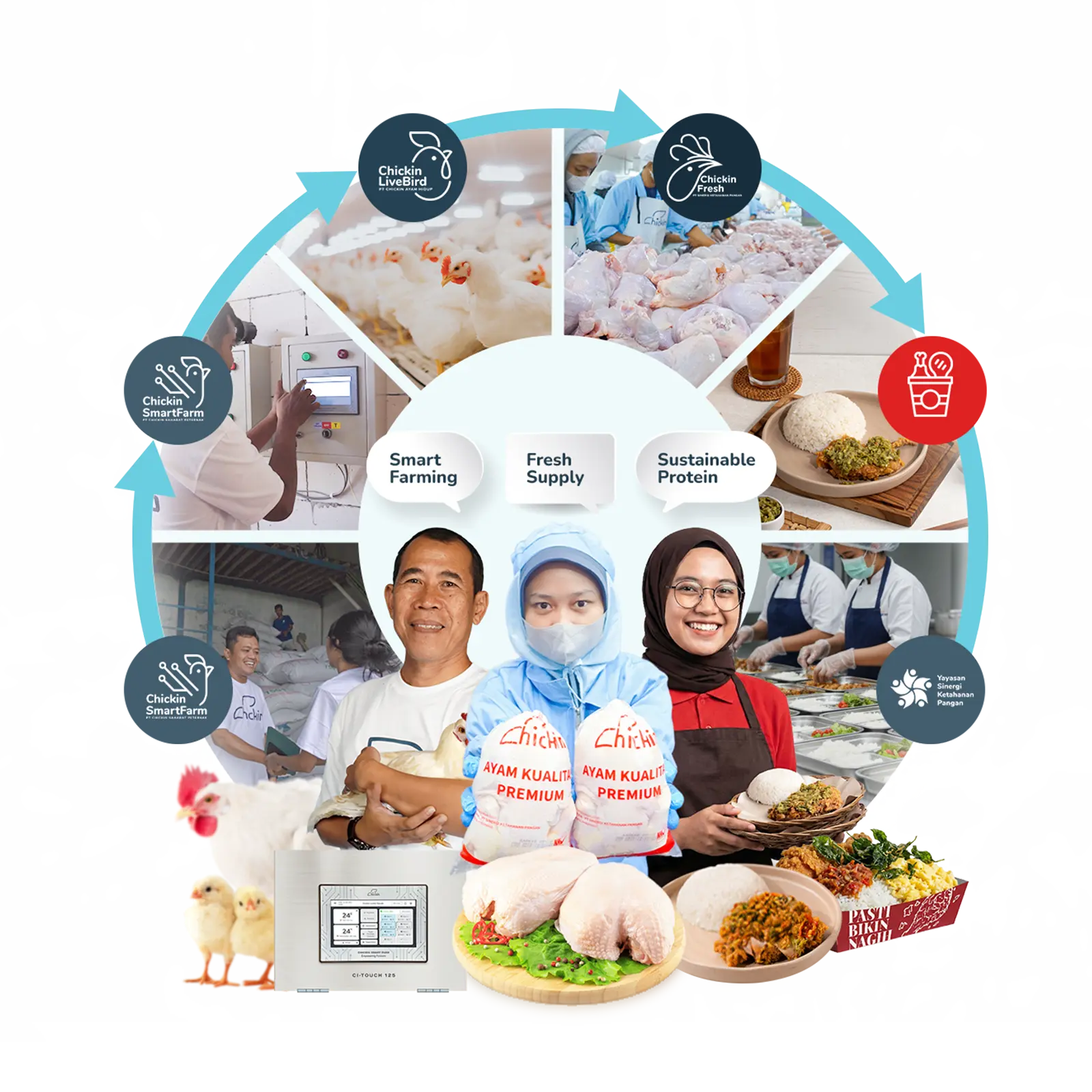 Ekosistem Chickin Indonesia